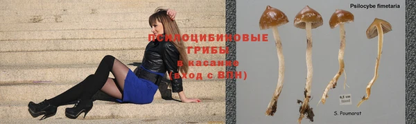 ALPHA PVP Гусиноозёрск