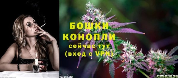 прущие крисы Гусь-Хрустальный