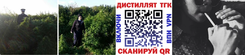 Дистиллят ТГК гашишное масло  Купить закладки  Избербаш 