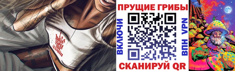 Галлюциногенные грибы MAGIC MUSHROOMS Купить где Избербаш